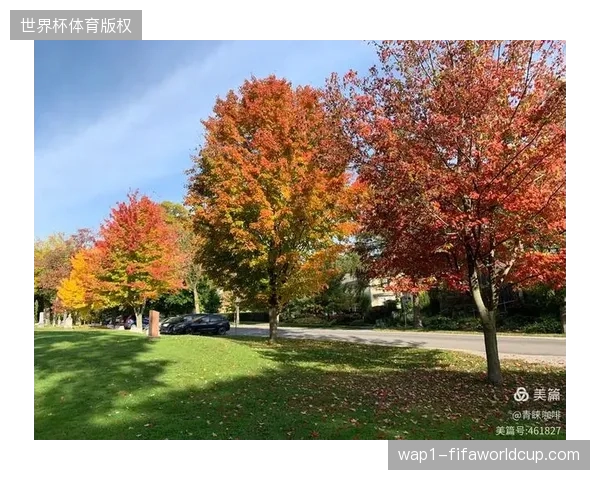 加拿大面临七天内横跨东西海岸的赛程挑战，主帅马希的临场调度与轮换策略至关重要